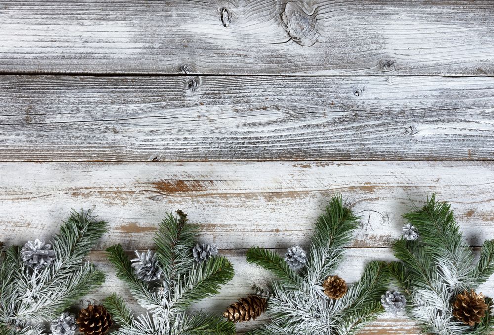 Snow covered fir or pine tree branches with silver and gold pinecone on rustic wood for the holiday season