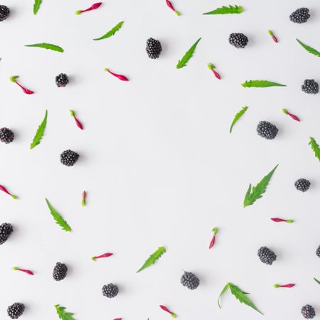 Pattern of blackberry fruit and leaves on light background