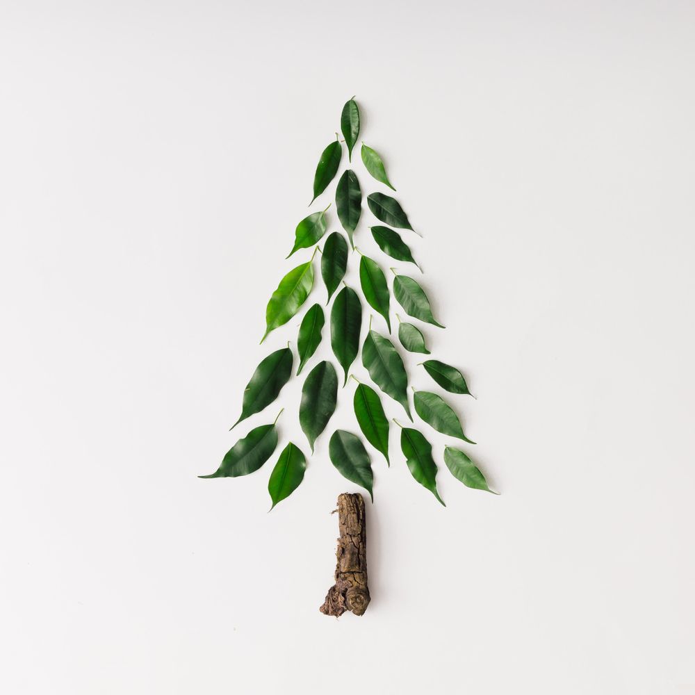 Christmas tree made of leaves and branch