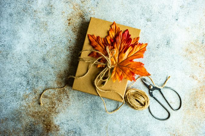 Rustic background with giftbox, scissors, and fall leaves