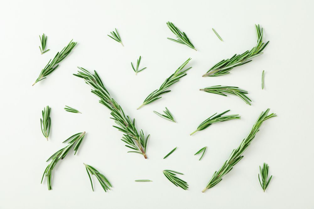 Flat lay composition with rosemary on neutral background, space for text