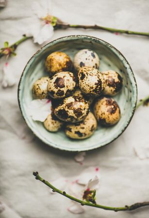 Quail eggs in bowl and blooming branches of almond tree, vertical composition