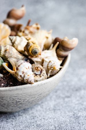 Ceramic bowl full of sea shells