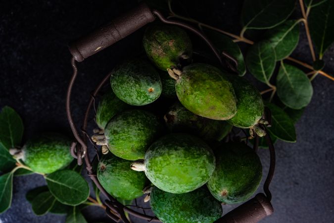 Top view of fresh green feijoa fruit in wire fruit bowl