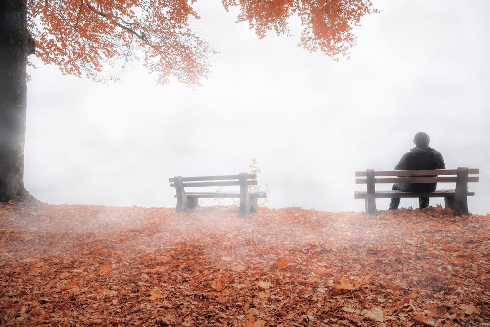 Man on bench shrouded by mist in autumn decor