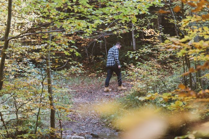 Casual hiker walking on autumn colorful forest