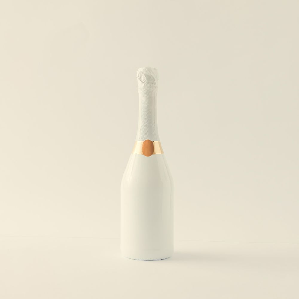 Champagne bottle on light background