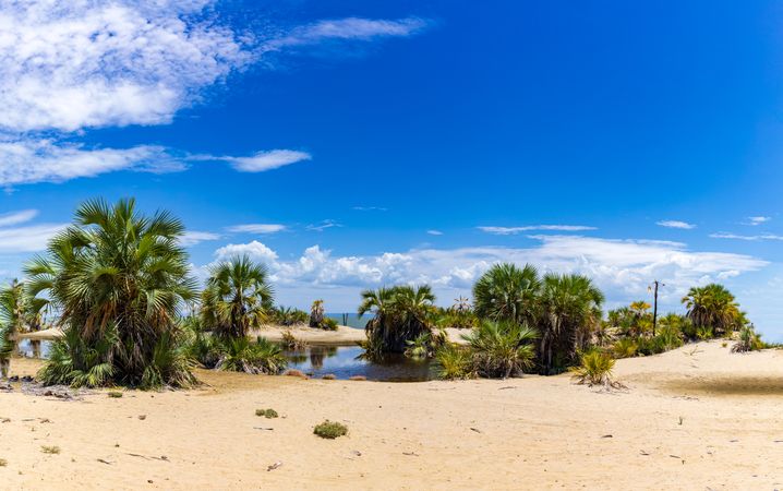 Lake Turkana Eliye Springs Beach Lodwar Landscapes Waterscape