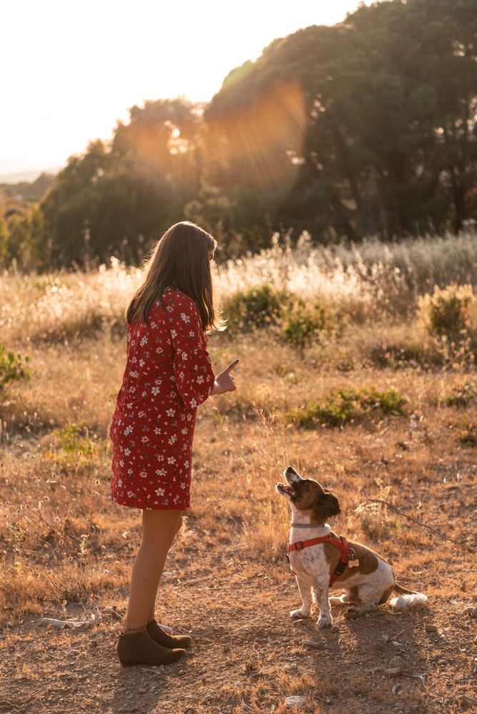 Woman with small friendly dog outdoors