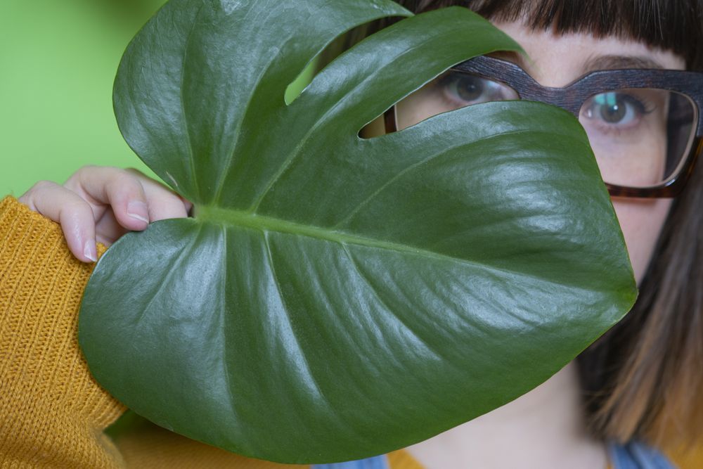 Portrait of woman with eyeglasses covering her face with tree leaf