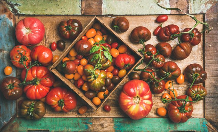 Assortment of different tomatoes in square box, on green trimmed wooden table
