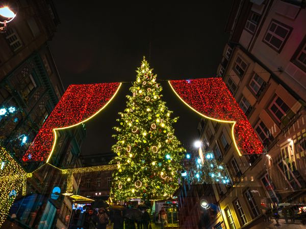 Looking up at beautiful tall tree in Strasbourg Christmas market