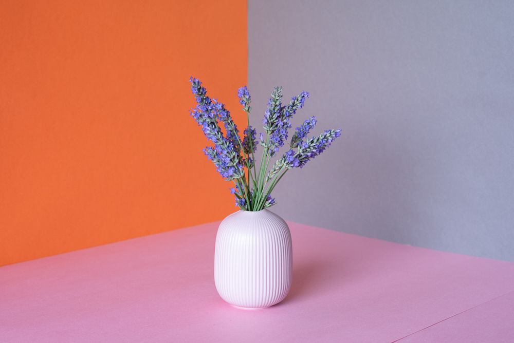 Vase of lavender flower in a multicolor background