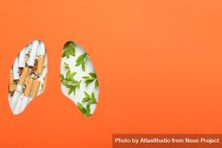 Lung shape cut out of orange paper with cigarettes and foliage with copy space bEjQG0