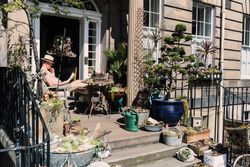 Man on porch with decorative plants in sunlight