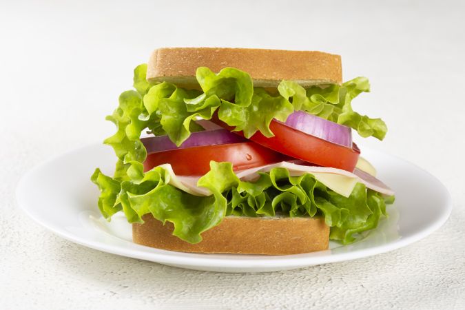 Natural sandwich. Sandwich with cheese, ham, lettuce, tomato and red onion.