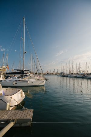 boat on water in port in sunny day