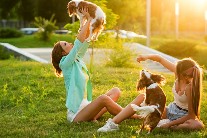 Female Owner Plays with the Dog