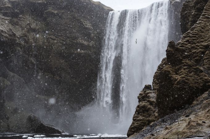 A seagull flying across a waterfall