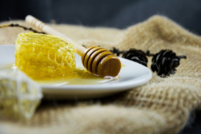 Honey Comb and Coffee Beans on Burlap Texture