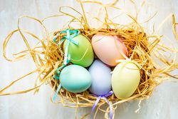 Easter card concept with pastel eggs in hay