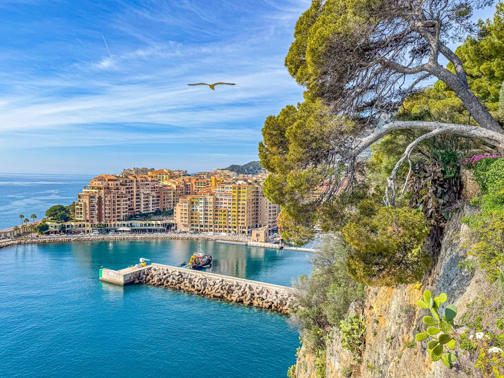 View of the port from the cliffs of Le Rocher