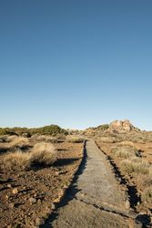 Small walkway in desert