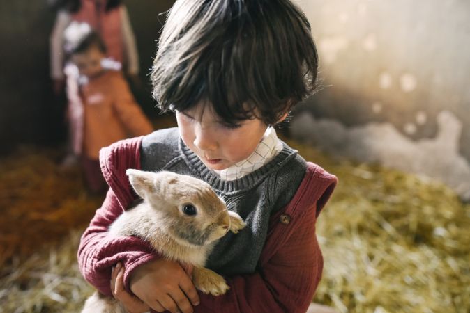 Charming little boy carrying rabbit