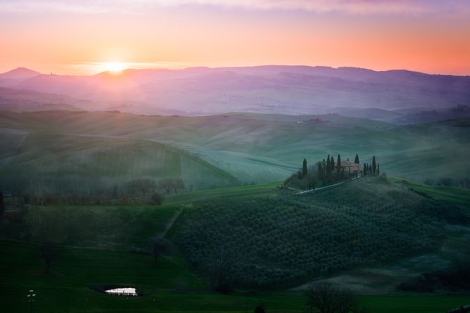 Peaceful green field at sunset