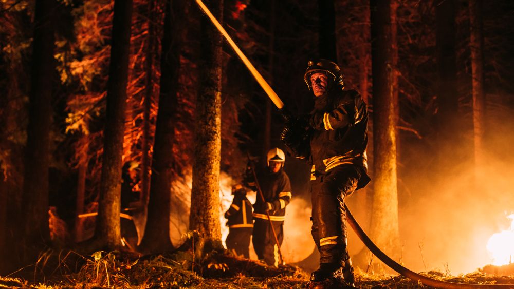 Group of Experienced Firefighters Extinguishing a Wildland Brushfire Deep in the Forest.