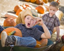 Two Boys Having Fun at the Pumpkin Patch on a Fall Day.