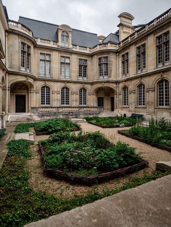 Regular garden with trimmed labyrinths in the Petit Palais in Paris. The luxury of a bygone era.