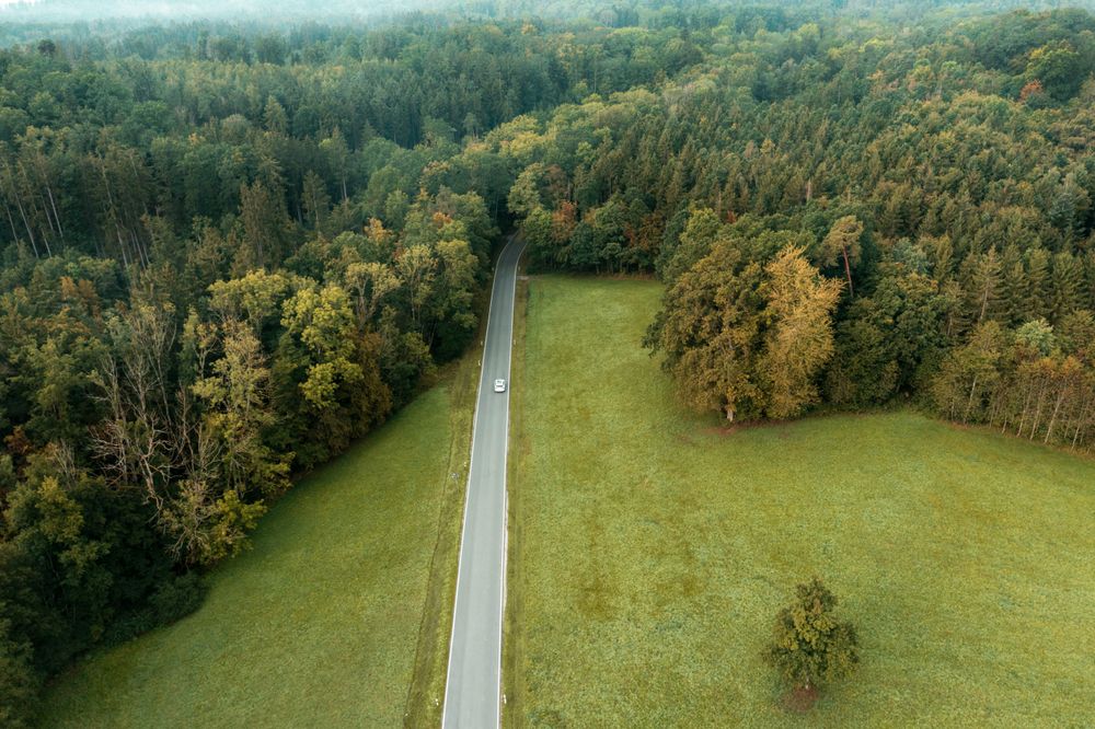 Aerial view with a road passing through the meadow and forest.