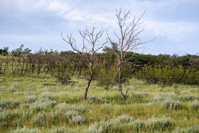 Rural landscape of recreation area around Lisi Lake