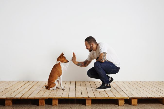 Casual, tattooed man giving high five to dog