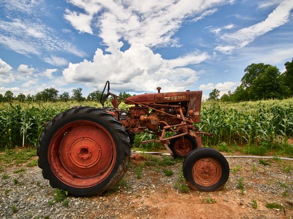 Rusty vintage tractor near cornfield