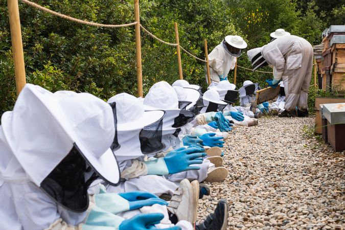 Beekeeper showing honeycomb to group of kids in apiary