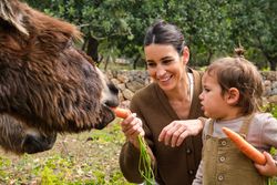 Happy mother with toddler feeding funny donkeys