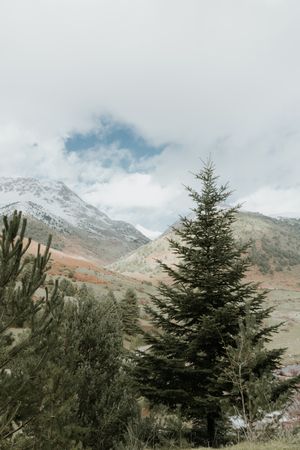Wonderful valley with trees and high hills in cloudy weather