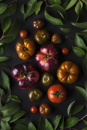 assorted tomatoes from above