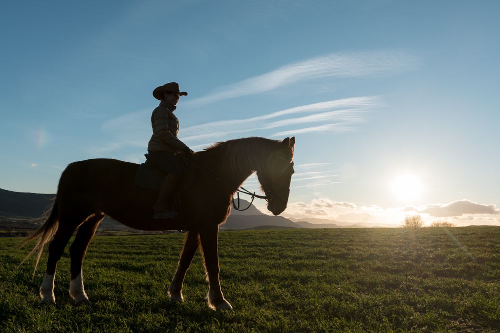 Woman riding horse