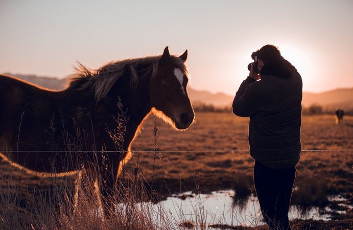 Man shooting on camera wild horse pasturing on field near water