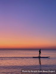 Silhouette of person kayaking in the sea during sunset 41nzlb