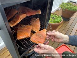Loading smoker with raw fish for cooking 0gnN8b