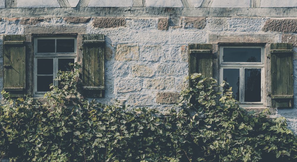 Vintage house facade covered with vines
