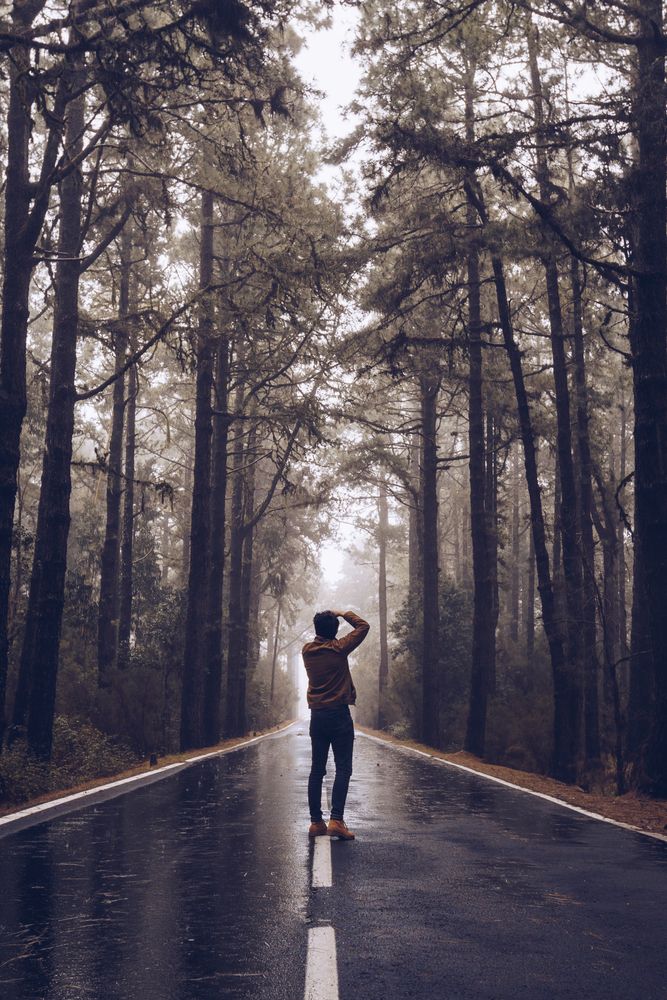 Traveler walking on empty road in woods