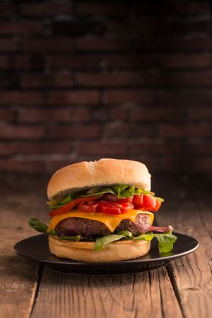 Homemade delicious burger