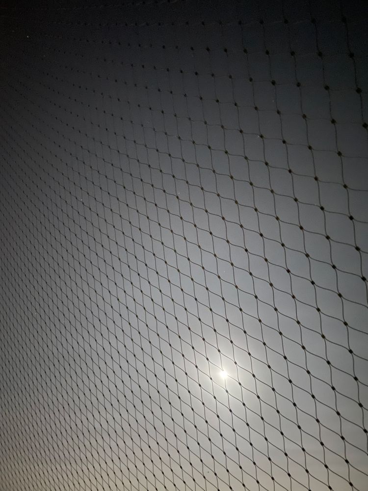 wire mesh