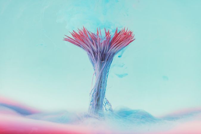 Pink daisy flower with pastel blue ink