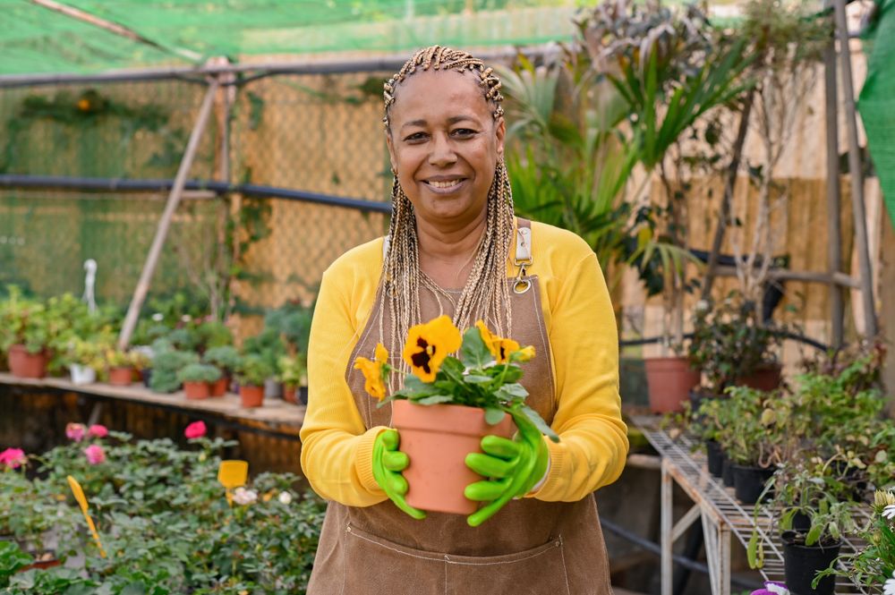 Happy Black gardener with potted flower in greenhouse